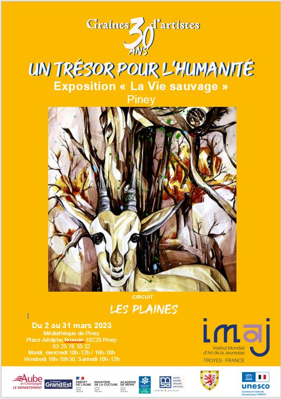 Exposition IMAJ à la médiathèque du 2 au 31 mars
